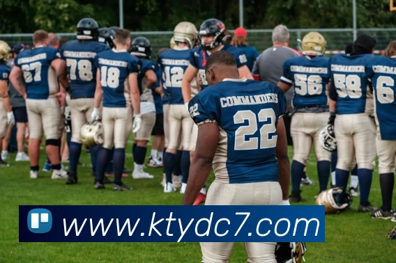 App Interface Preview